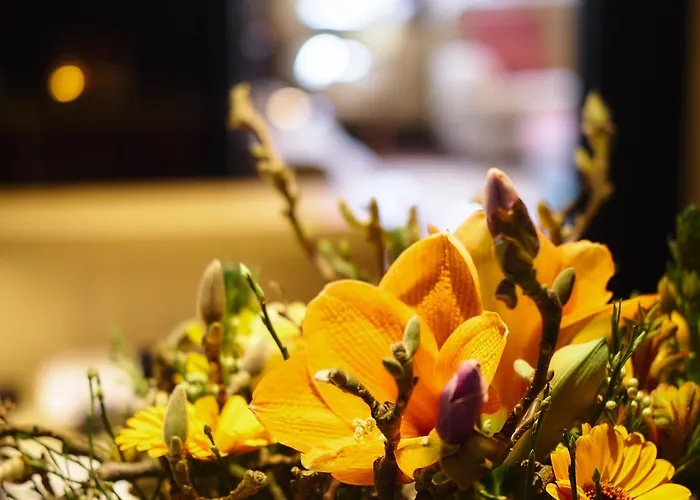 及时行乐浪漫庄园酒店 德哈恩